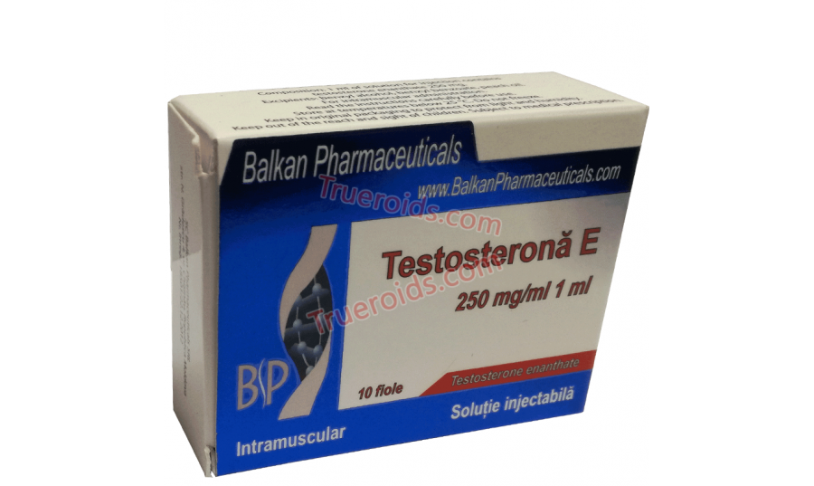 Balkan Pharmaceuticals TESTOSTERONA E 10amp 250mg/amp