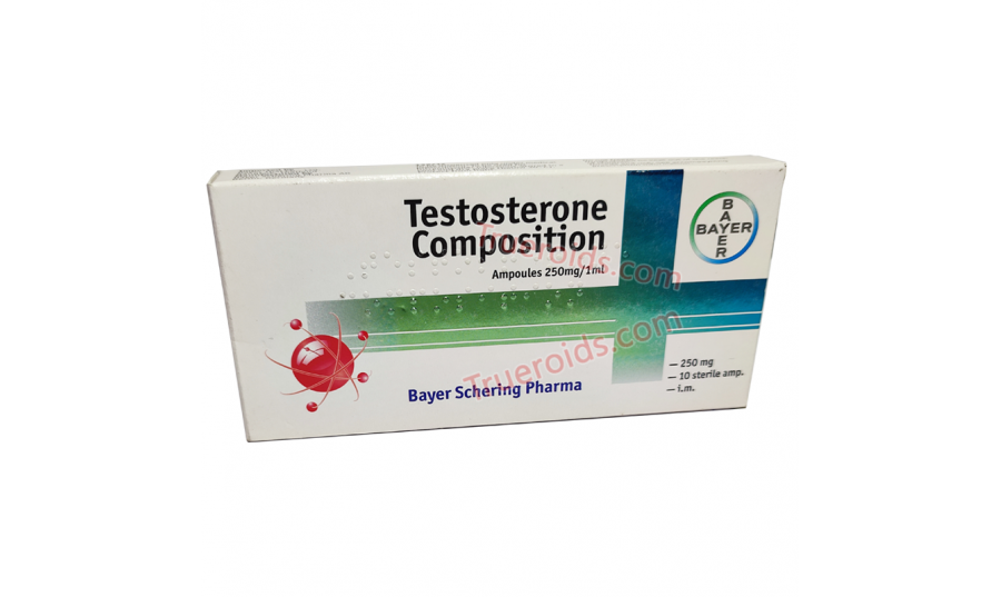 Bayer Schering Testosterone Composition 10amp 250mg/ml