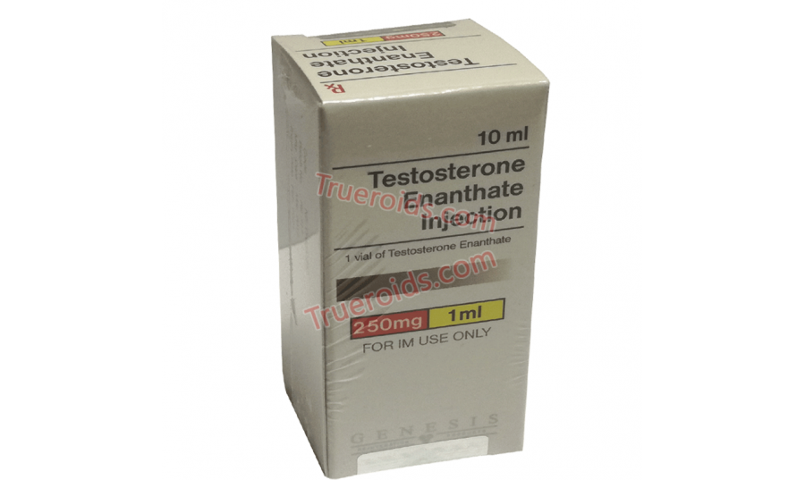 Genesis TESTOSTERONE ENANTHATE INJECTION 10ml 250mg/ml