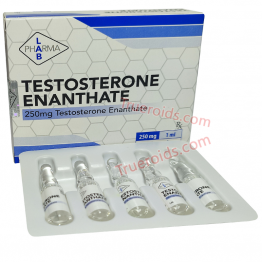 PharmaLab Testosterone Enanthate 10amp 250mg/amp