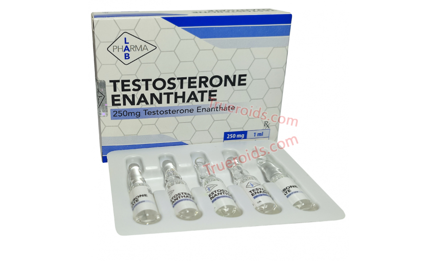 PharmaLab Testosterone Enanthate 10amp 250mg/amp